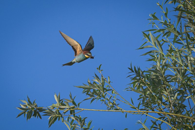 2020 фото превью