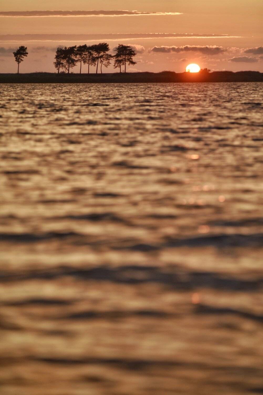 , Владимир Леликов-Кузьменко