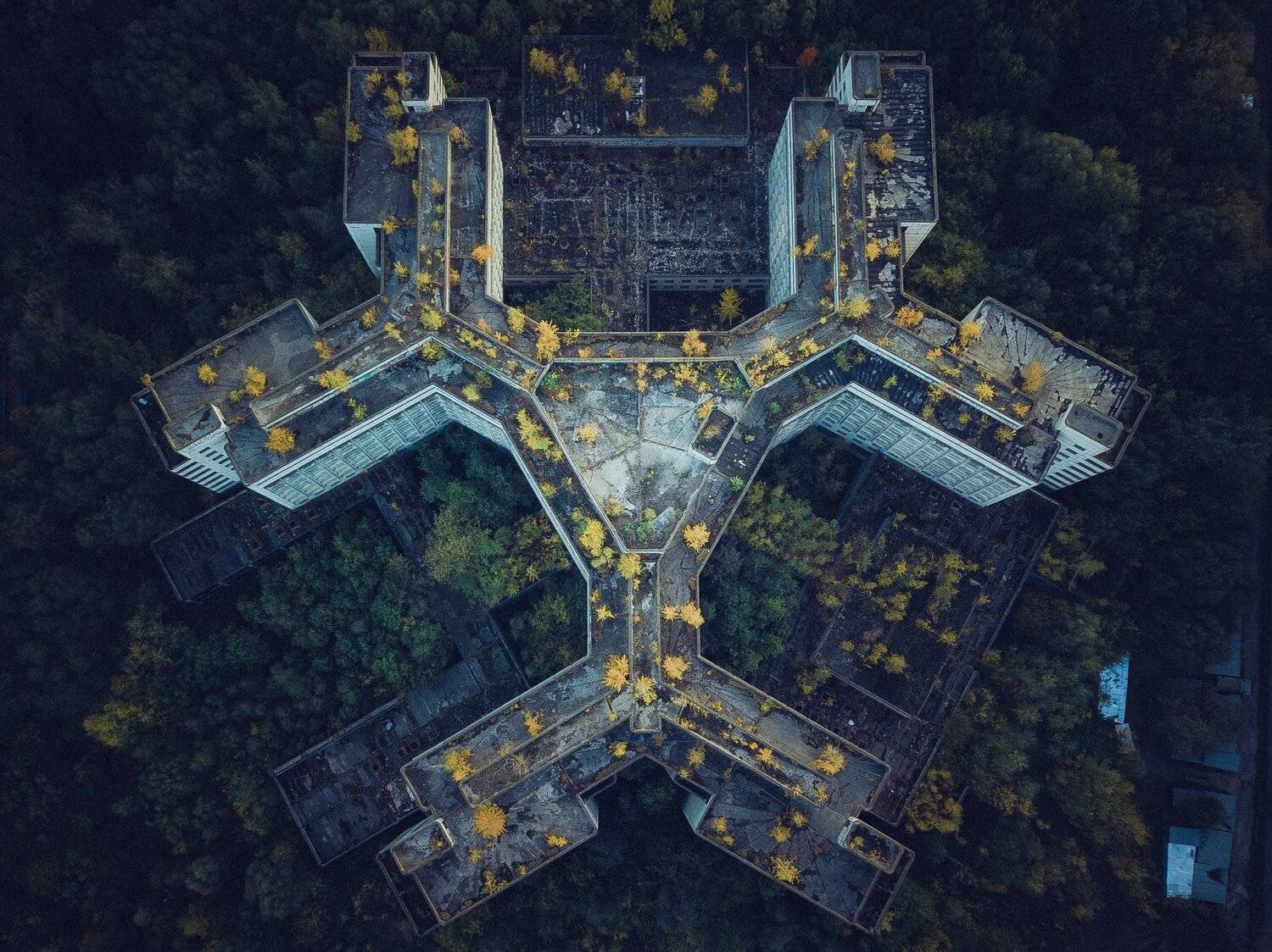 , Сергей Фаренюк