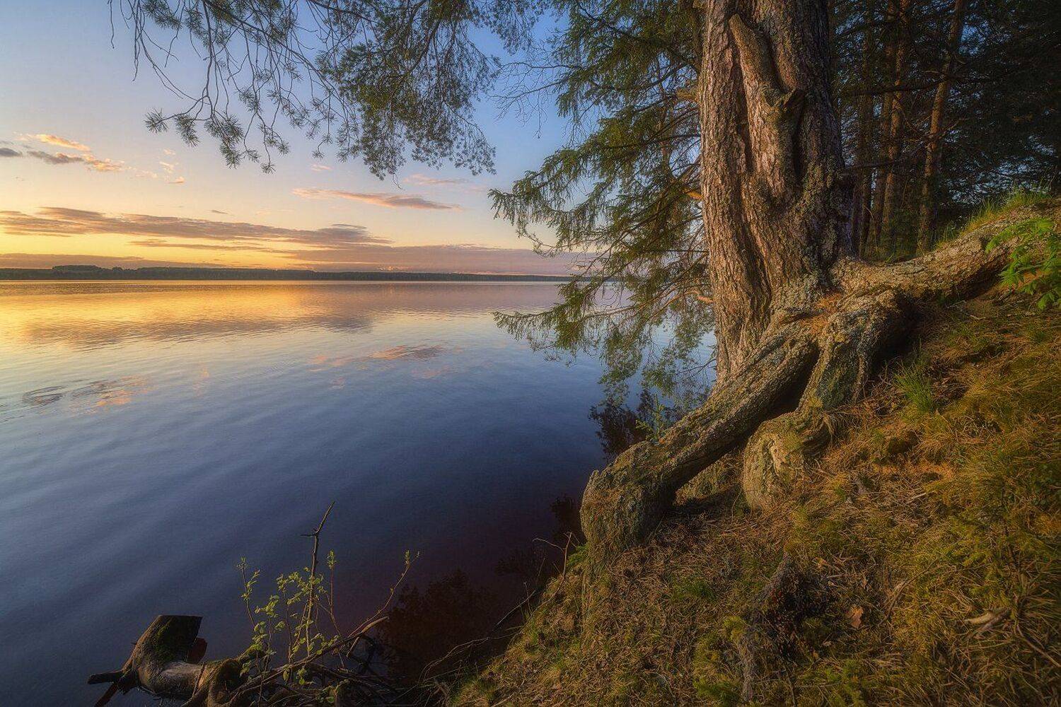 , Устюжанин Михаил