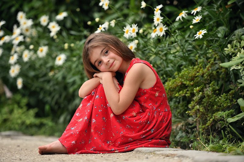 Ромашка фото превью