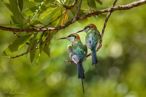 Ой, смотри, Светка из 2-ой пошла!! А костюмчик-то себе какой прикупила!!!