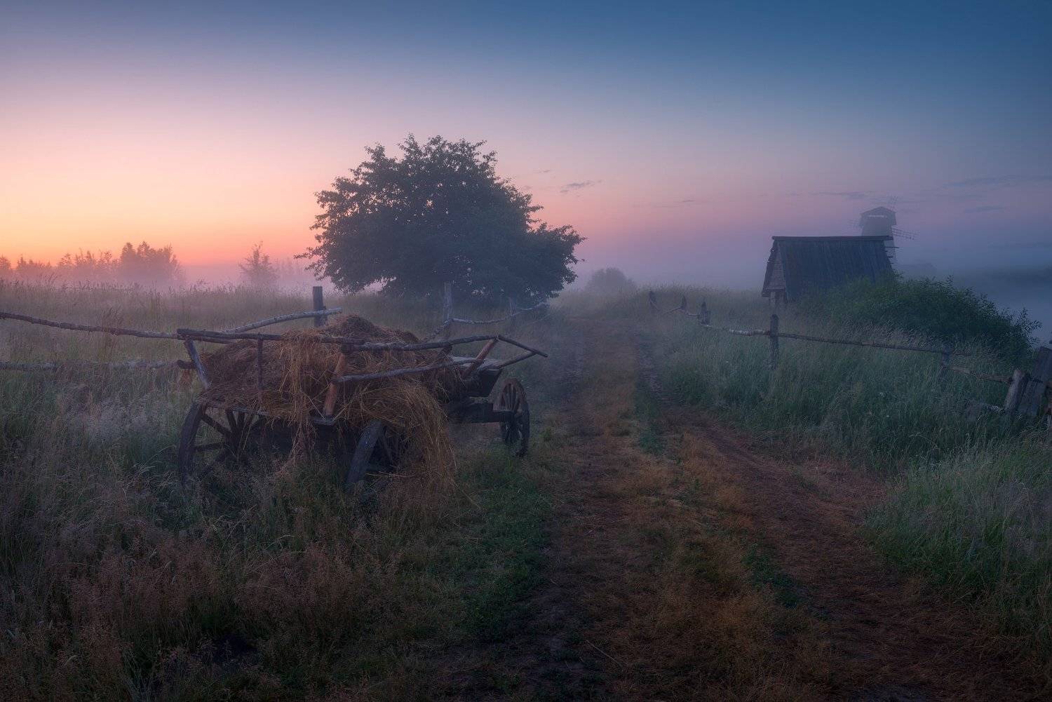 туман, утро, деревня, телега, дорога, рассвет, Cтанислав Малых