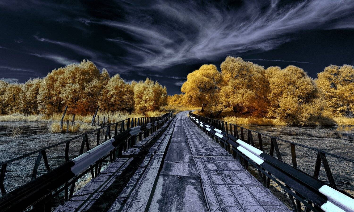 infrared,ик-фото,инфракрасное фото, инфракрасная фотография, пейзаж, лето, Sixten ( Сергей )