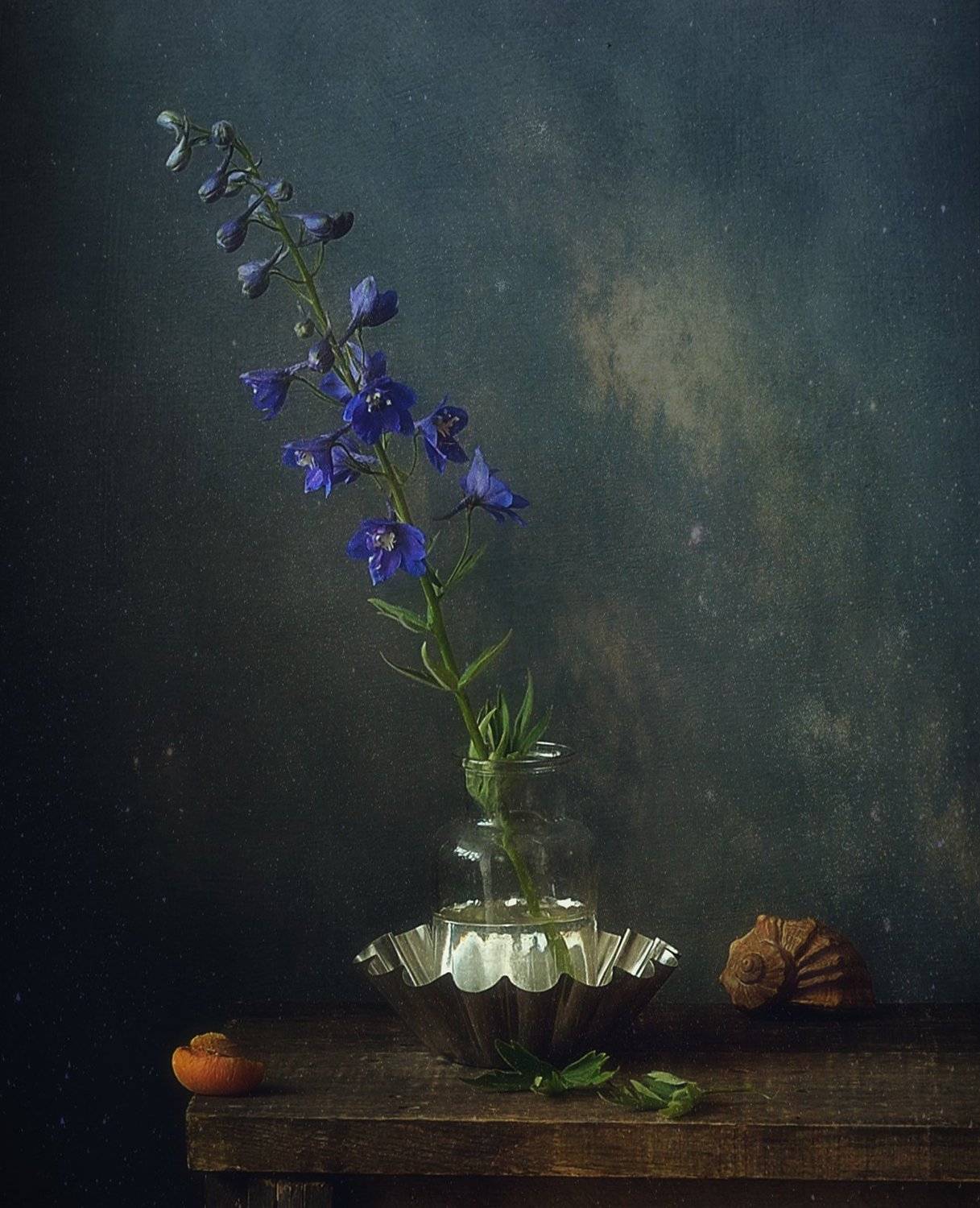 натюрморт,цветы,лето,дельфиниум,  Наталия К