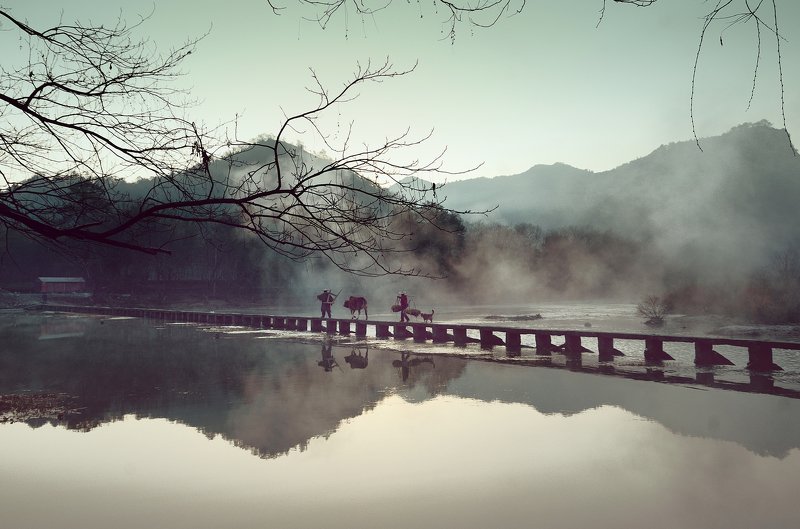 #landscape #Fineart Life II фото превью