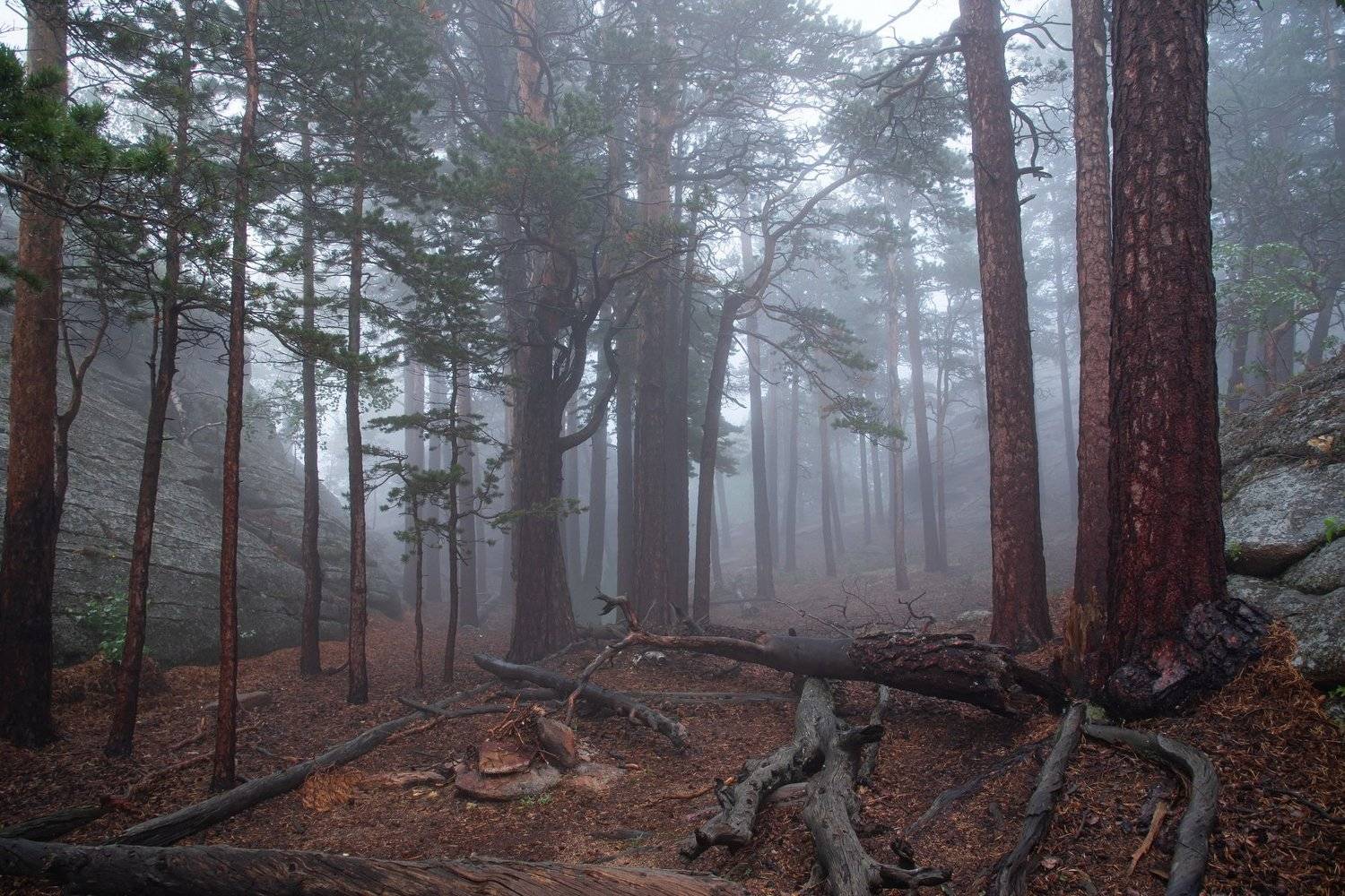 горы, Евгений Дроботенко