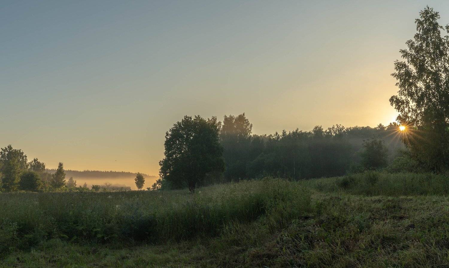, Константин Дэм