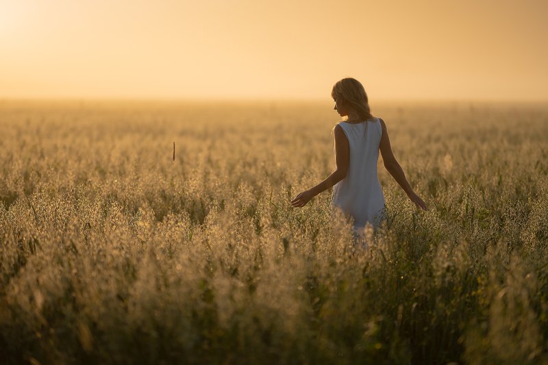 ...  фото превью