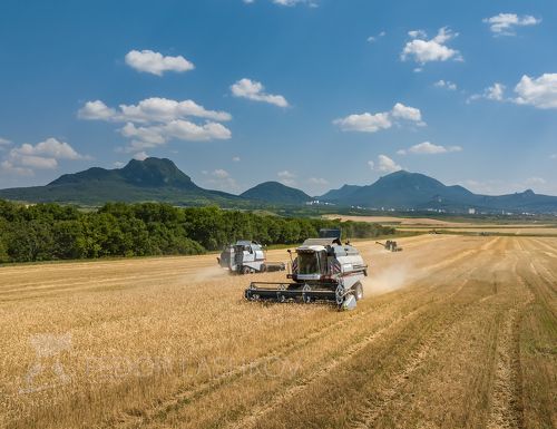 Сбор урожая