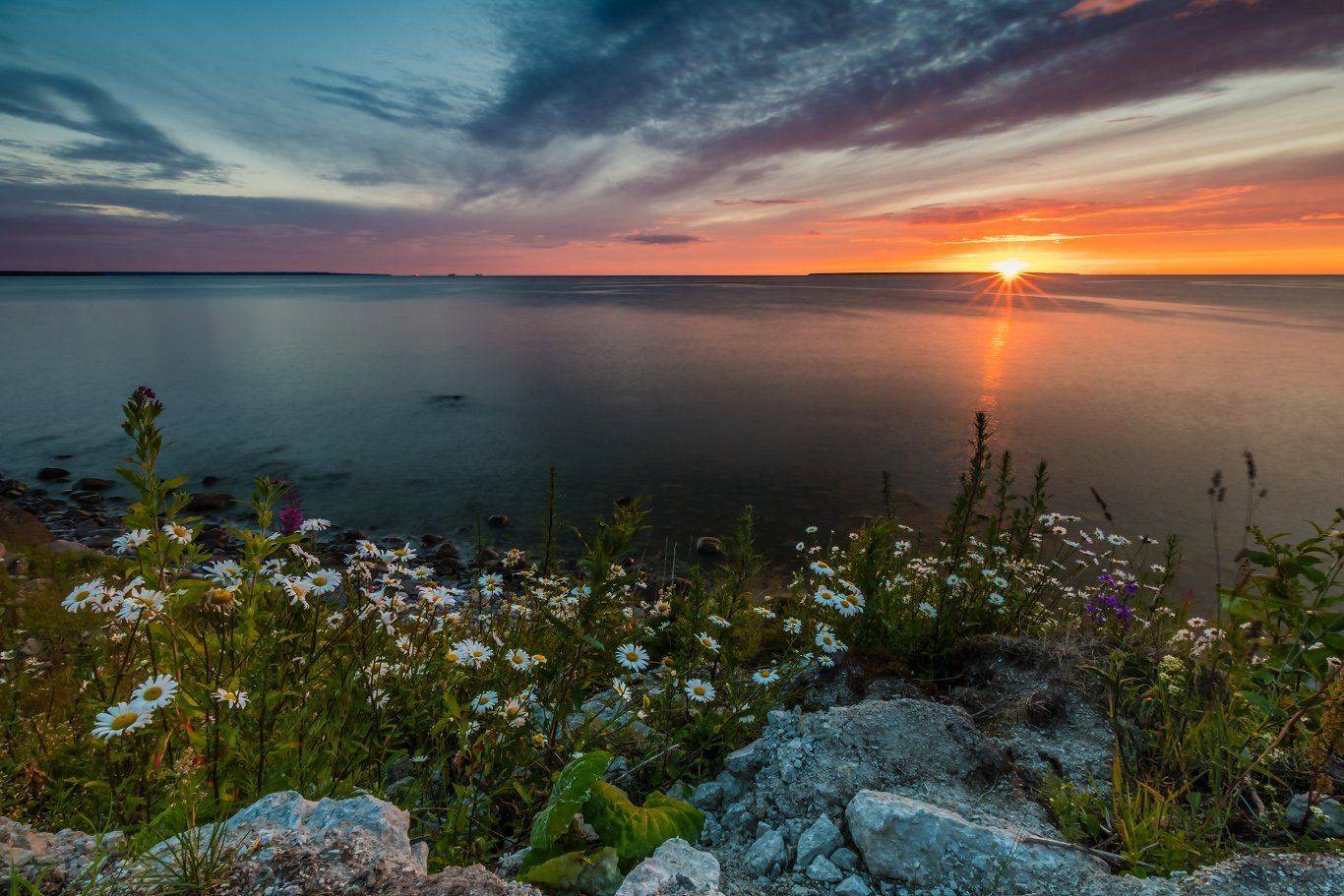 , Александр Абросимов