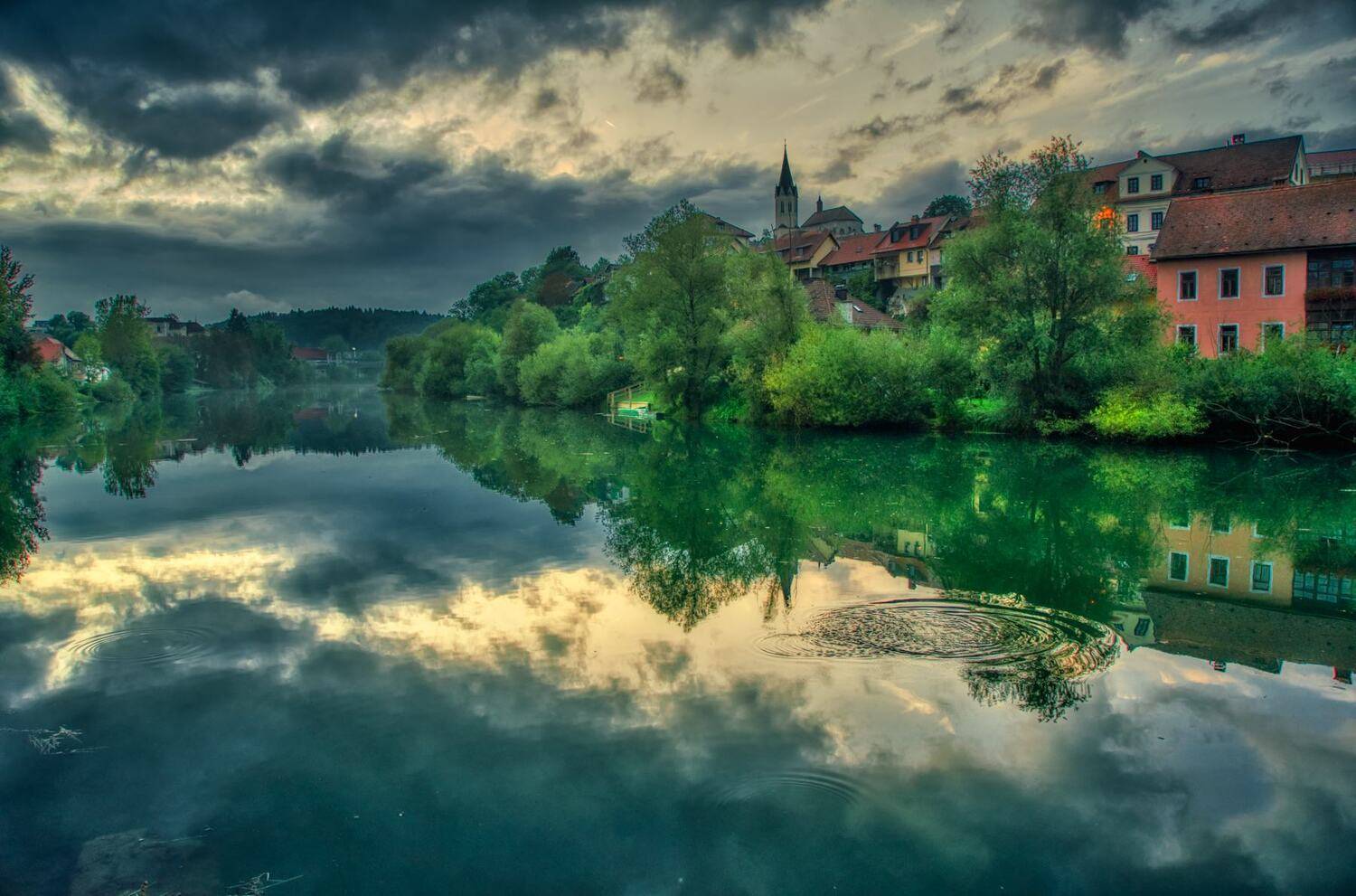 , David Solodar