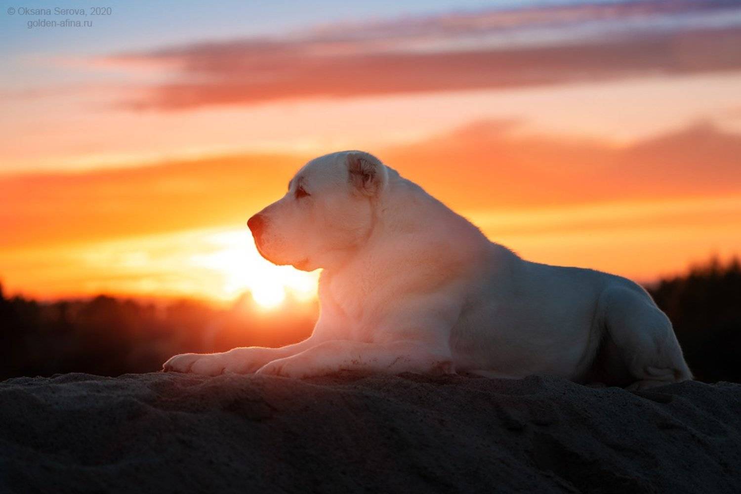 , Оксана Серова