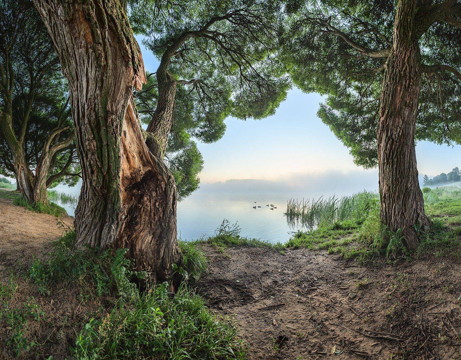 , Николай Андреев