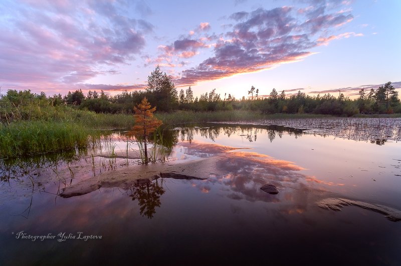 карелия,лето,красота,пейзаж,природа,путешествия Карельские зарисовки фото превью