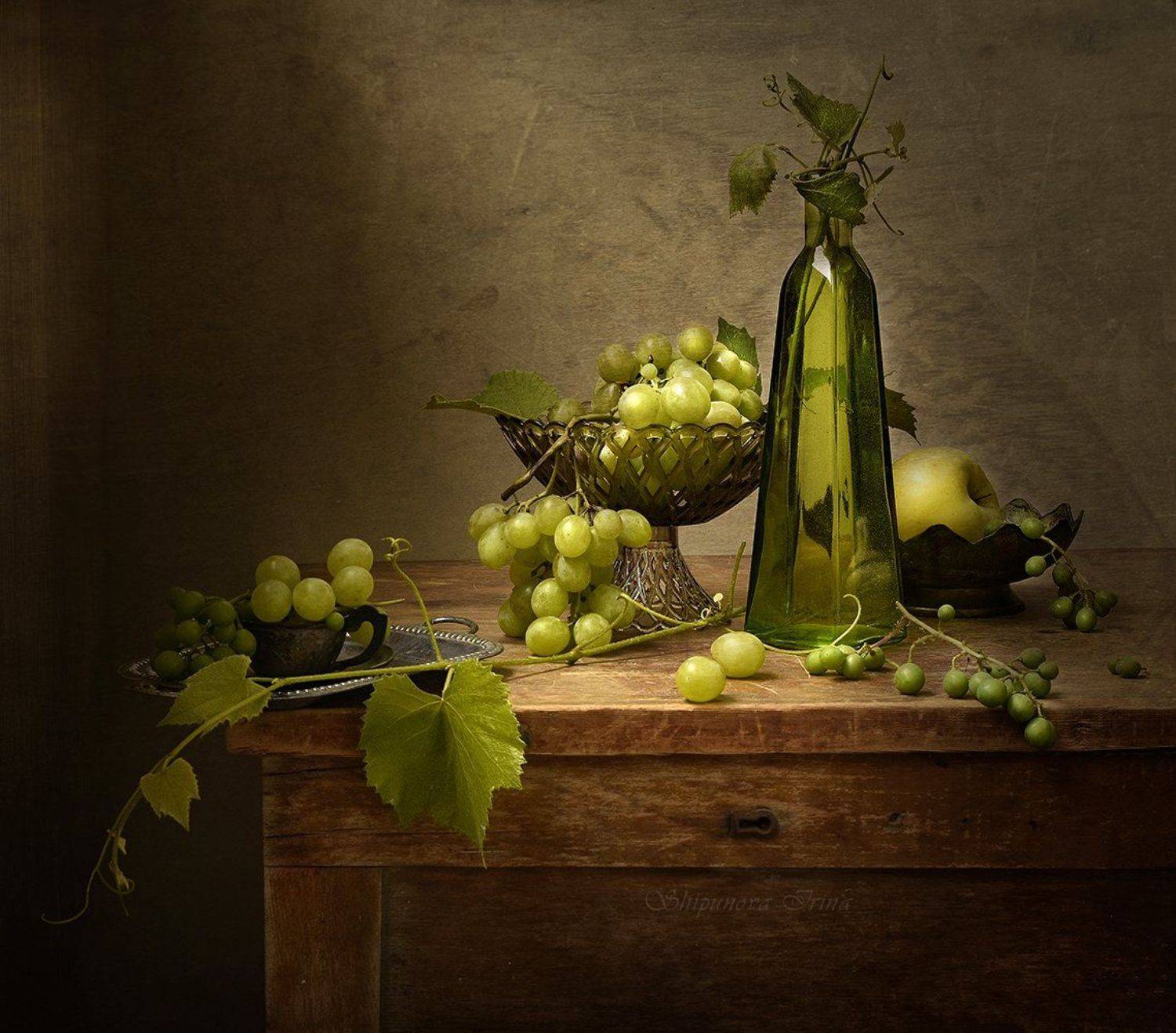 , Шипунова Ирина