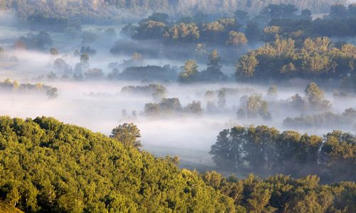 Туман в долине