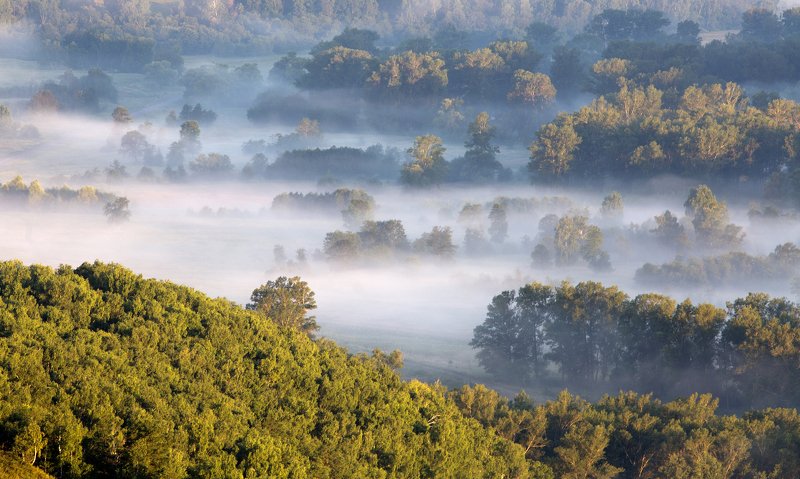 природа, пейзаж, утро, туман, урал, южный_урал Туман в долине фото превью