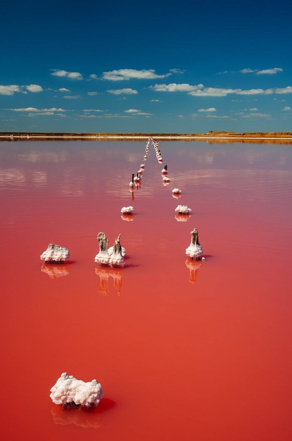 , Сергей Курля