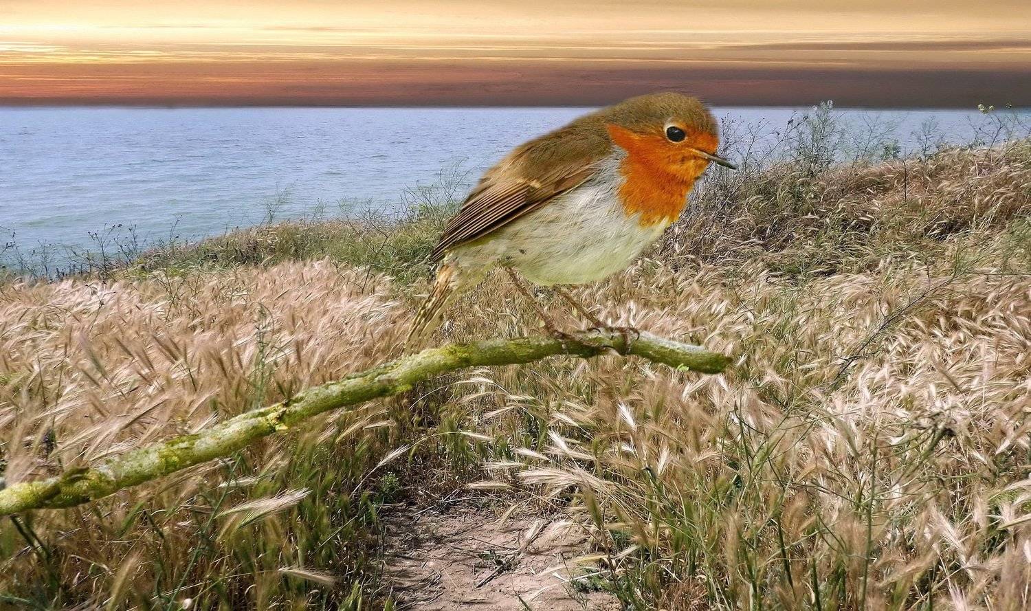 одесса, Сергей Кошелев