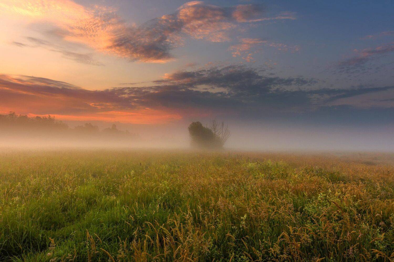 landscape, field, atmosphere, nature, sky, clouds, light, dawn, sunrise, mist, tree, forest, summer,, Krzysztof Tollas