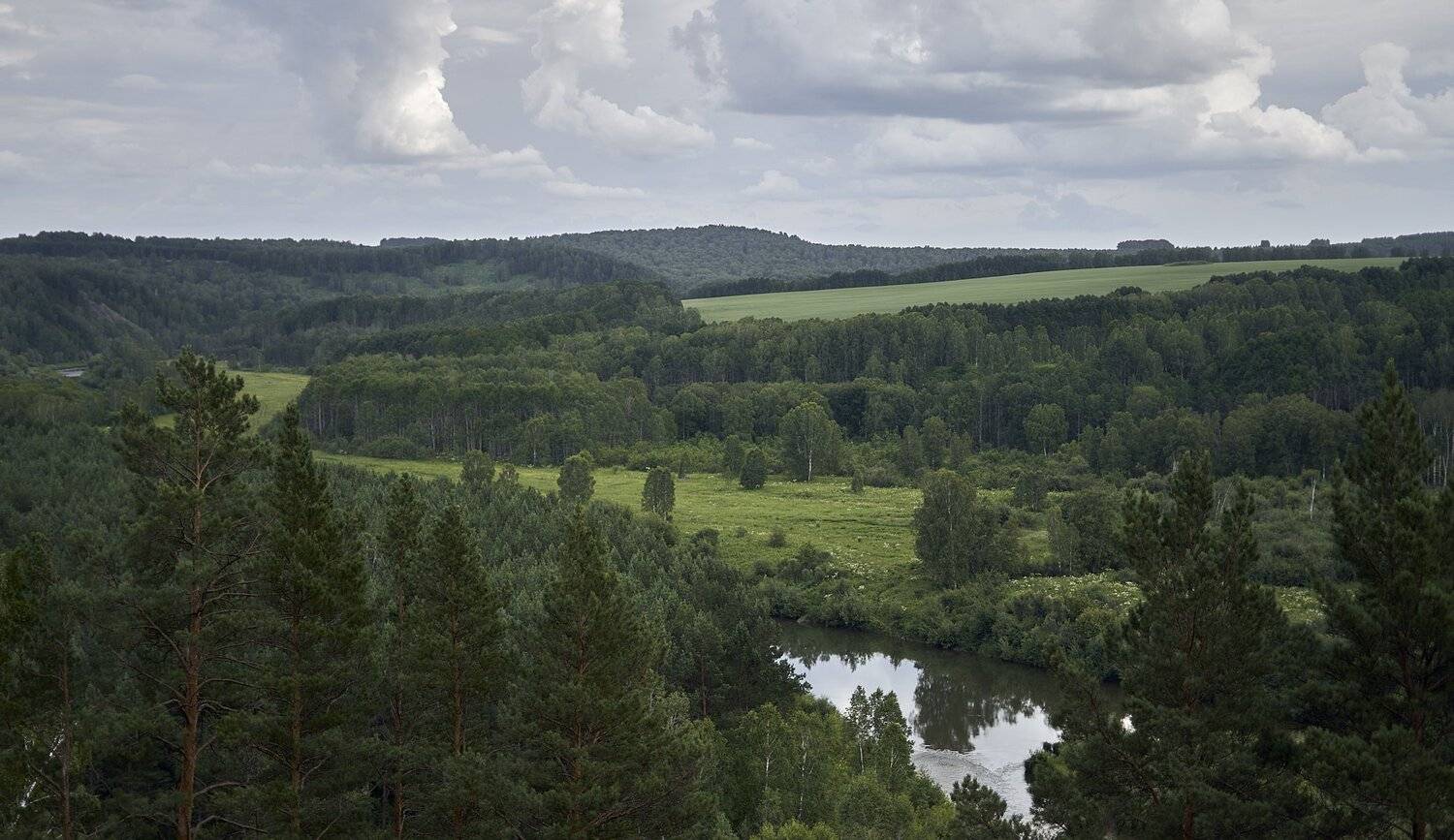 , Никита Арзамасов