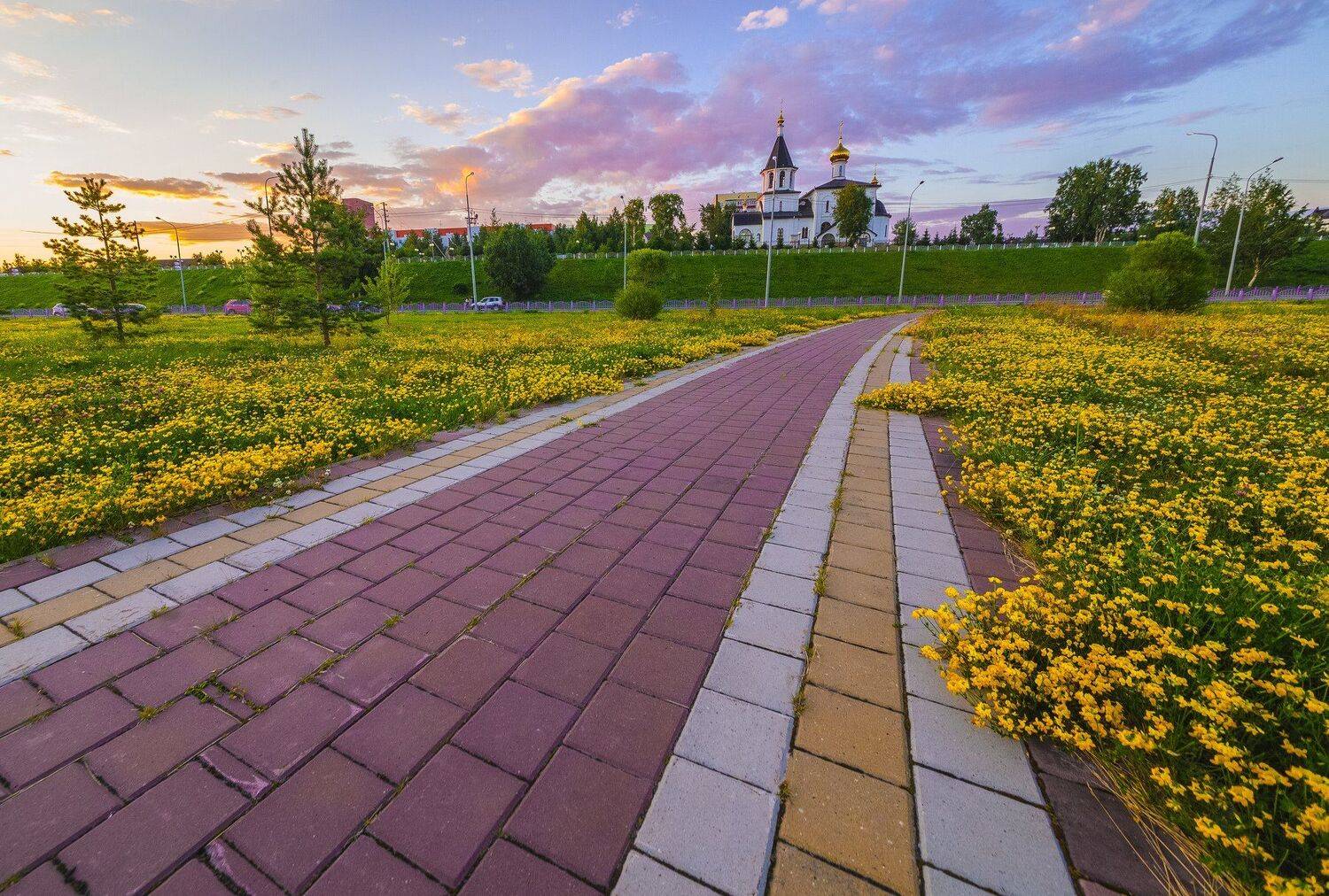no people, outdoors , nature , landscape - scenery, sky, day, green color, flower, plant, scenics - nature, yellow  rural scene  tree  beauty in nature  agricultural field, nefteyugansk, нефтеюганск, Andrey Raspopov