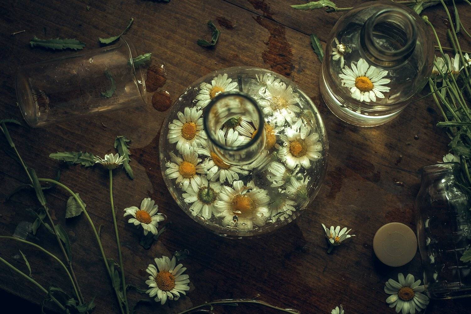 , Рут Андрей