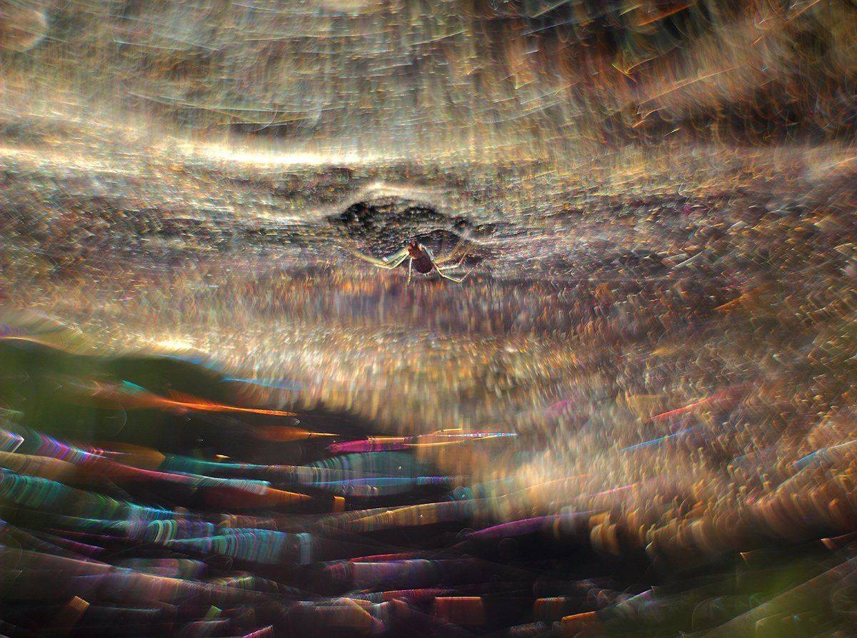 , Галина Горькавая