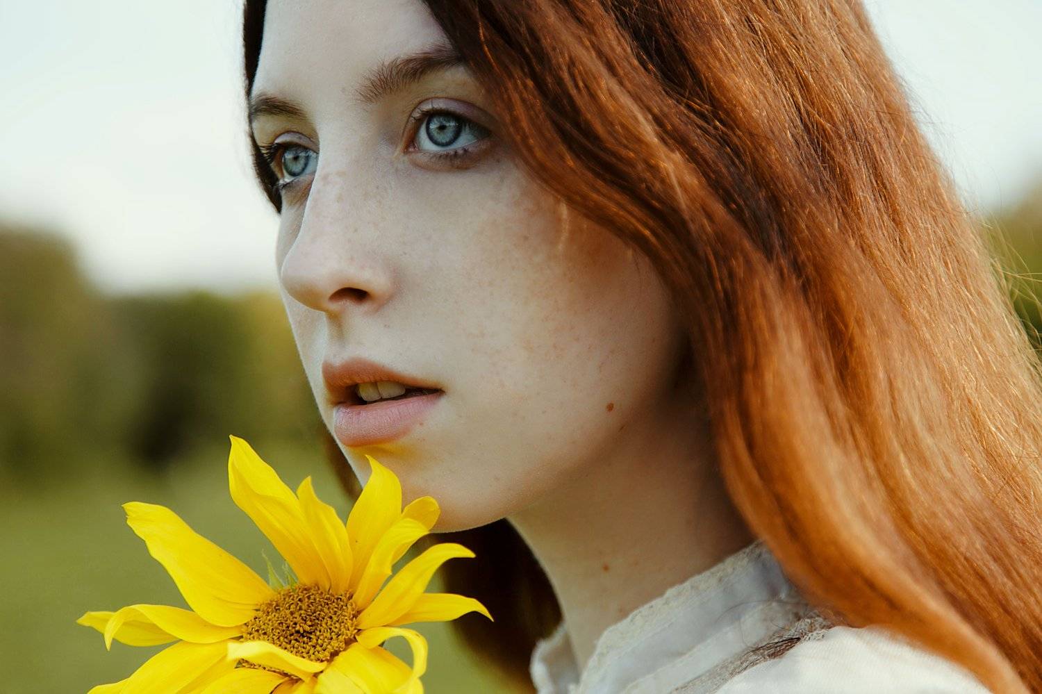 , Marie Dashkova
