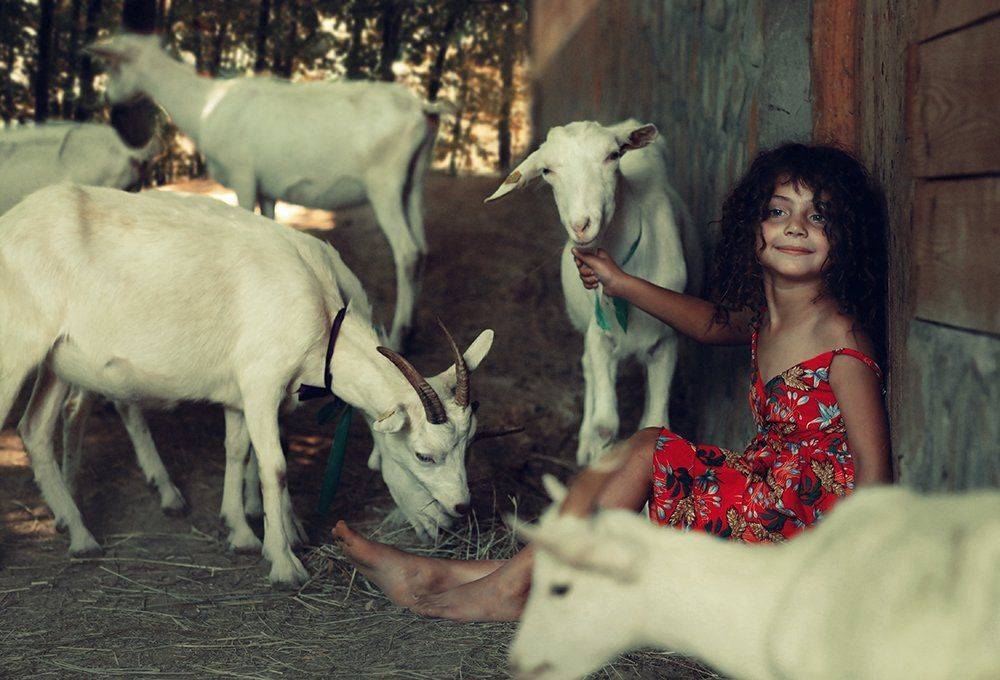 , Наталья Законова