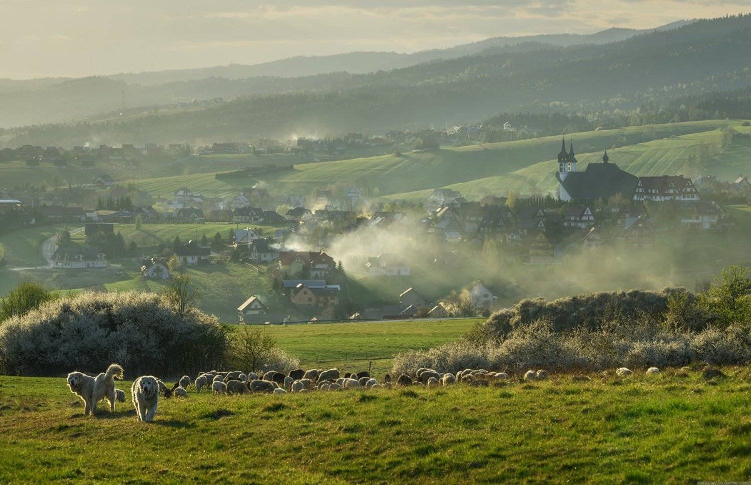 #landscape #panoramic #photo #nikon #poland #adventure #sunset  #mountains #grass #agricultural #field #hill #nature, Rafał Bujakowski