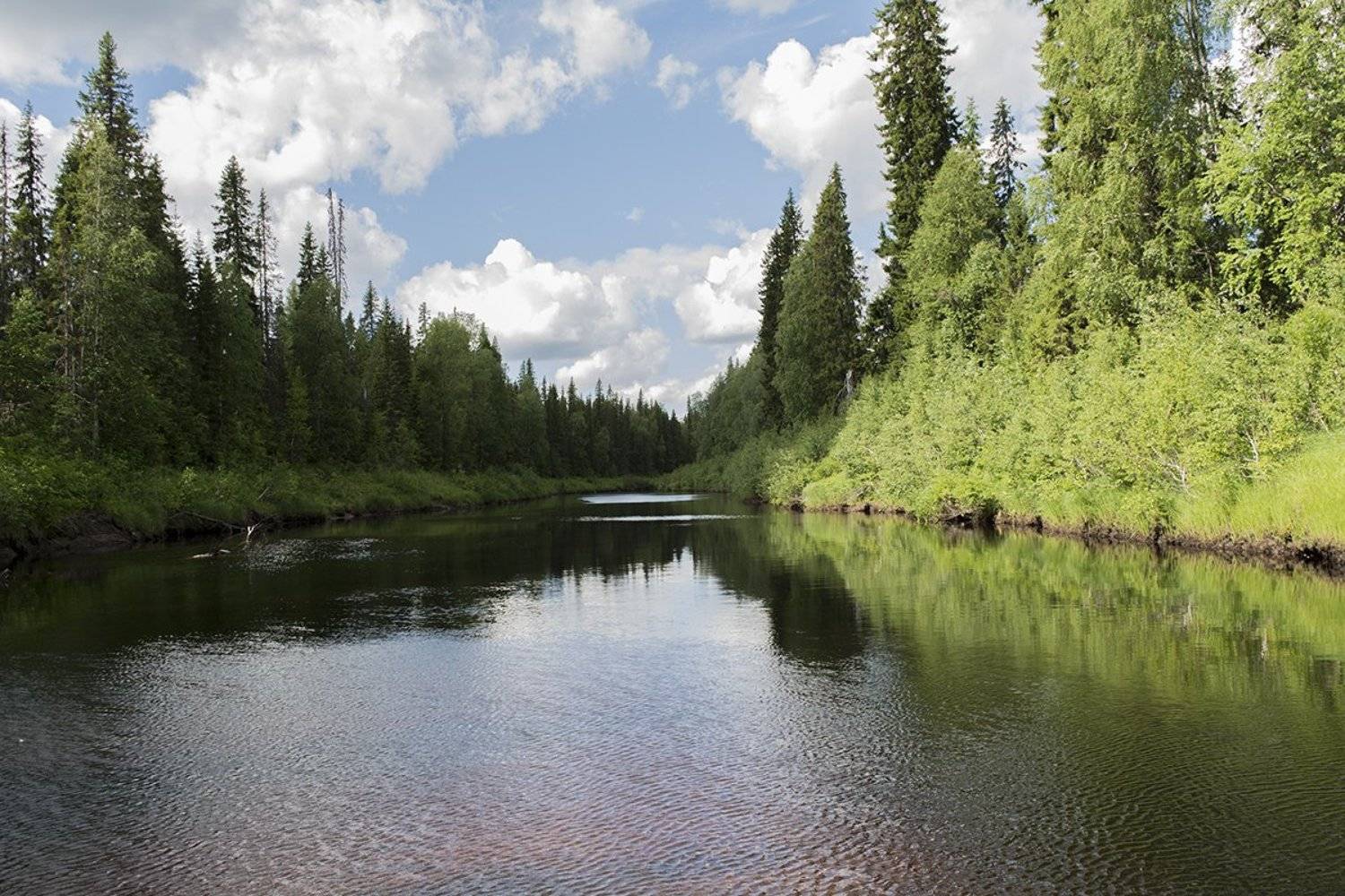 , Марина Никулина