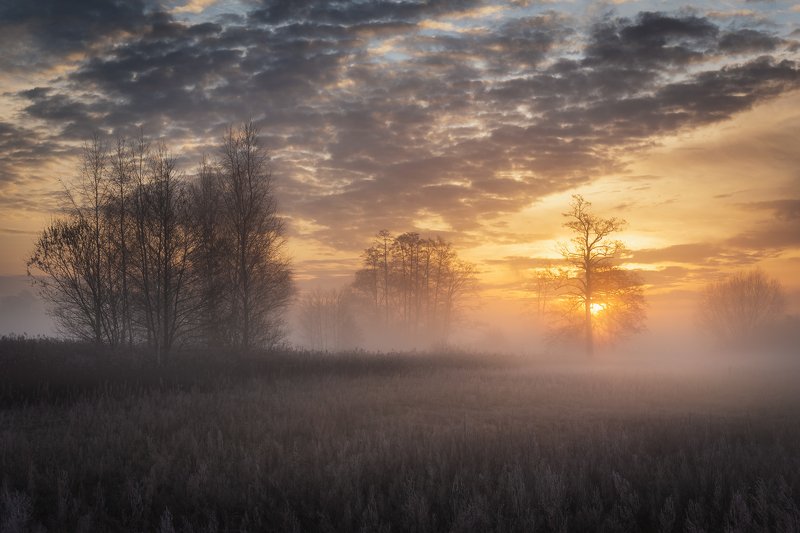 Foggy morning фото превью