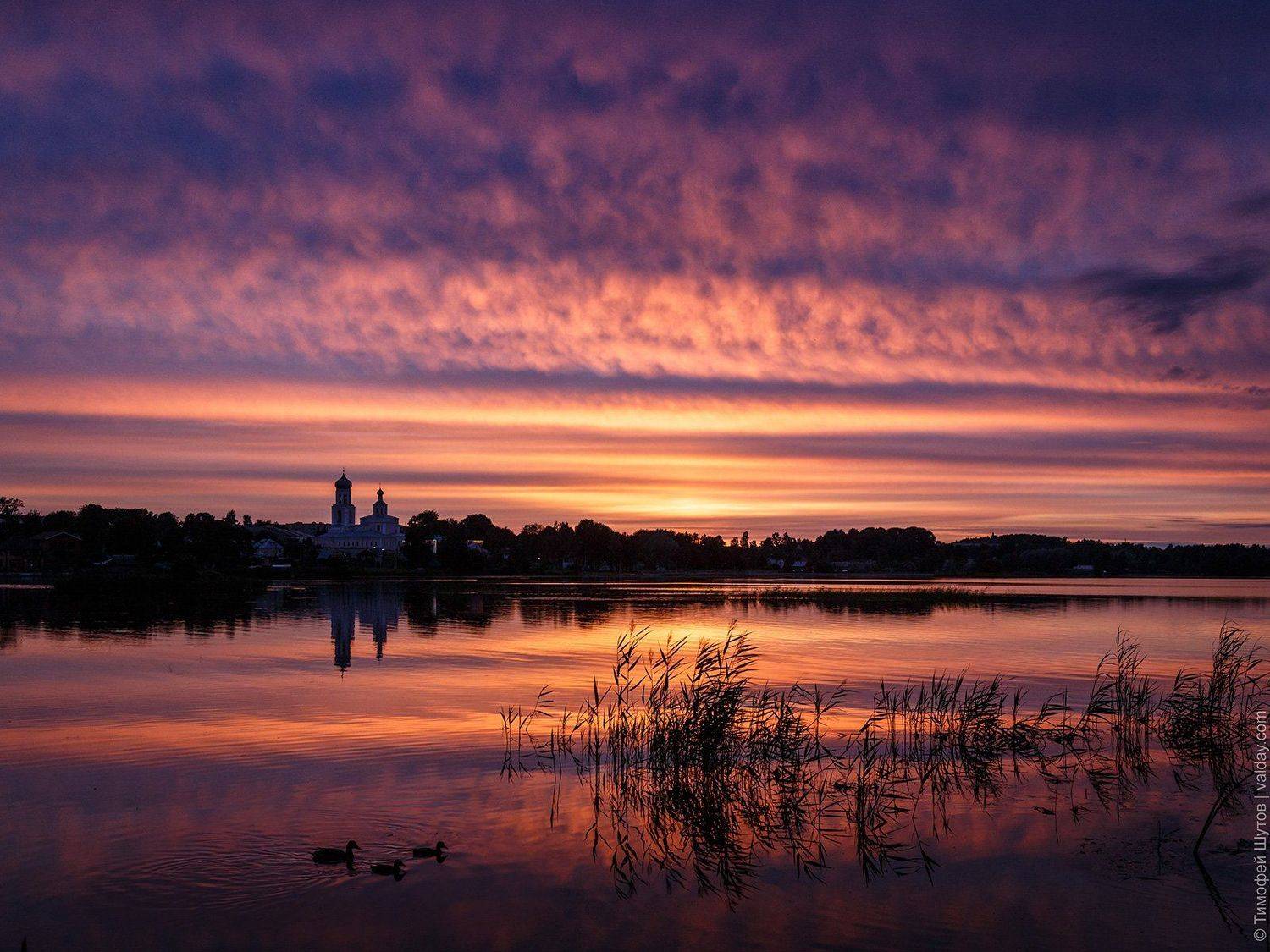 , Тимофей Шутов