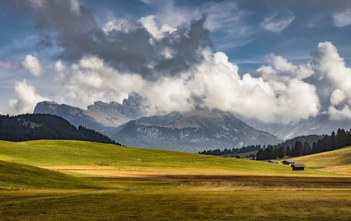 alpine valley