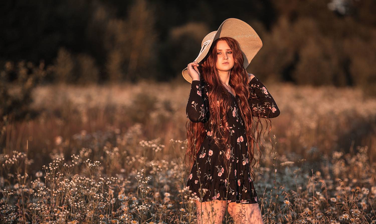 девушка, модель, портрет, фотосессия, природа, лето, солнце, закат, girl, model, portrait, photo, nature, summer, sun, sunset, dress, платье, макияж, make-up, поле, field, ромашковое поле, Владимир Васильев
