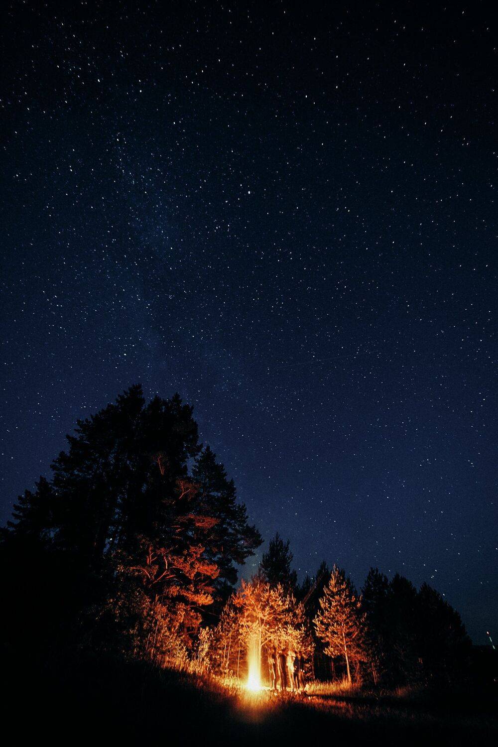 , Александр Фанковин