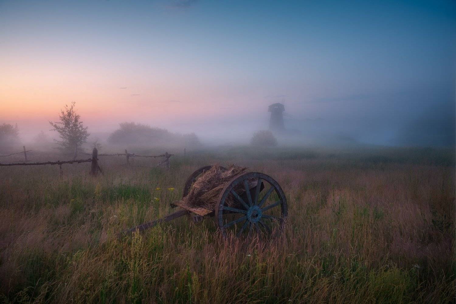 утро, телега, туман, рассвет, лето, Cтанислав Малых