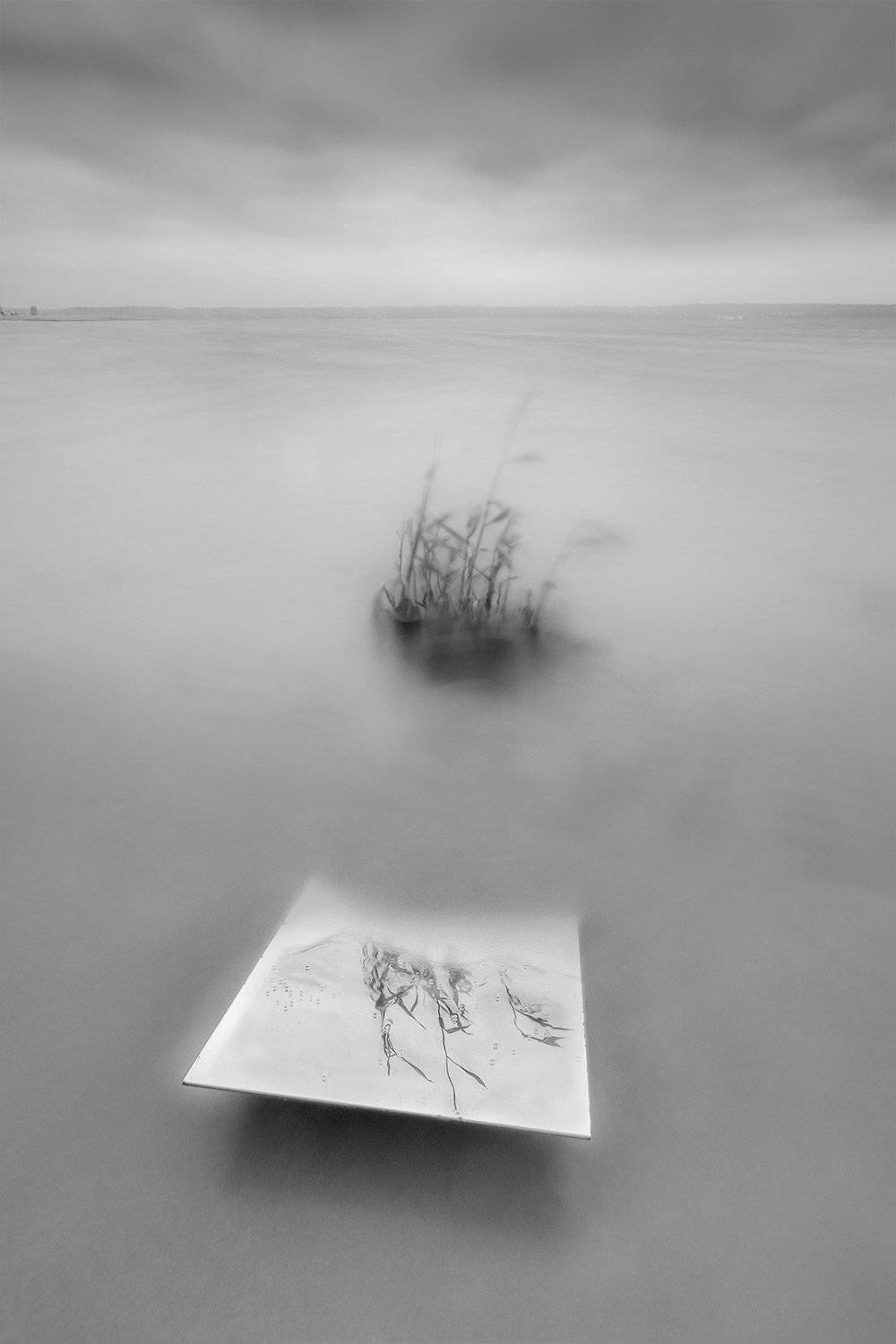 , Федотов Антон