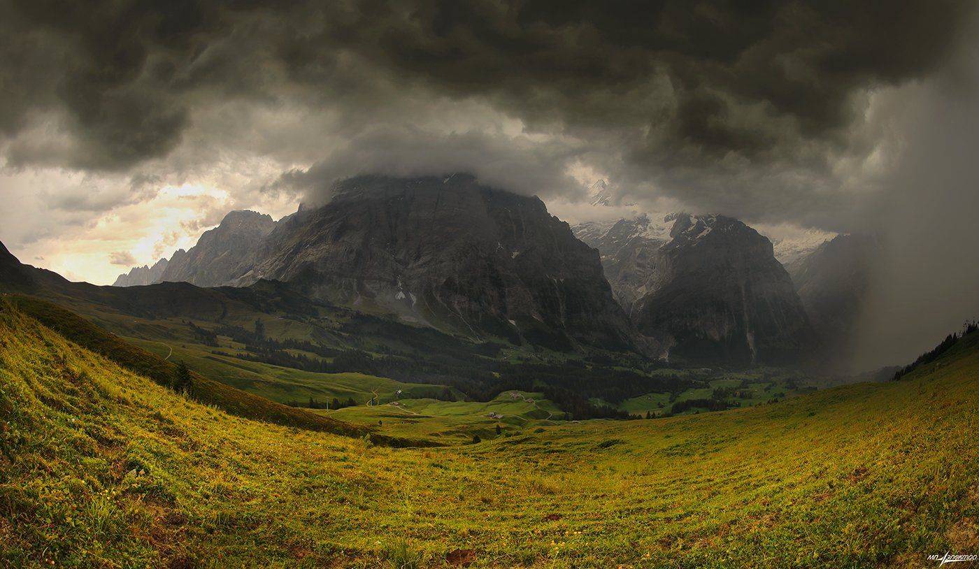 swiss, Матвеев Николай