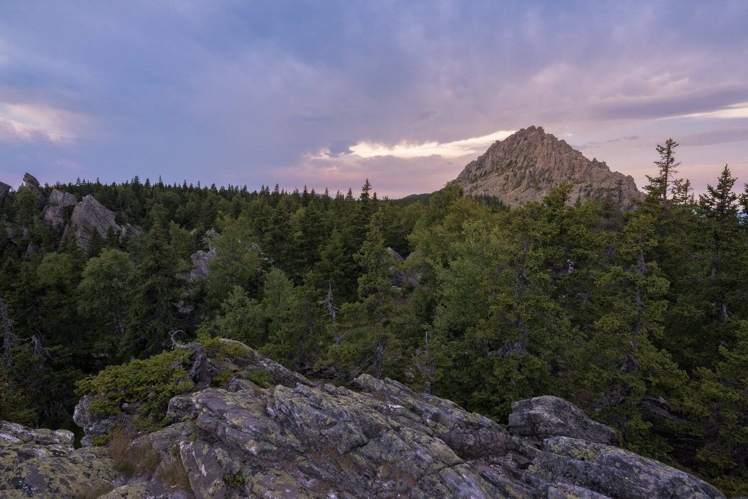 , Андрей Шарапов
