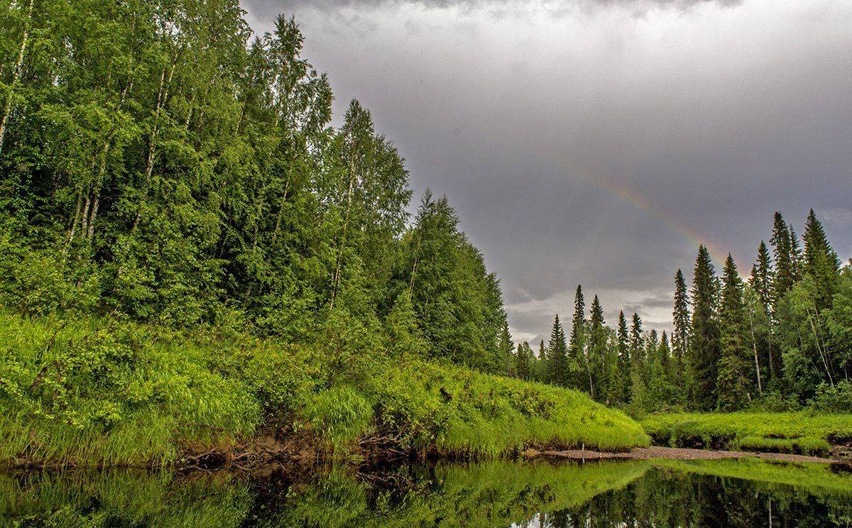 , Марина Никулина