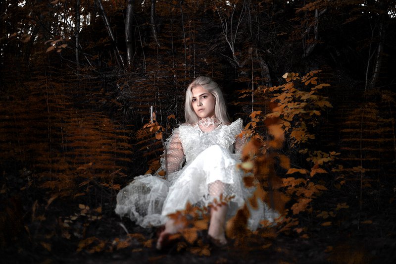 женский, портрет, девушка, постановочная, концептуальное, лес, темное, светлое  фото превью