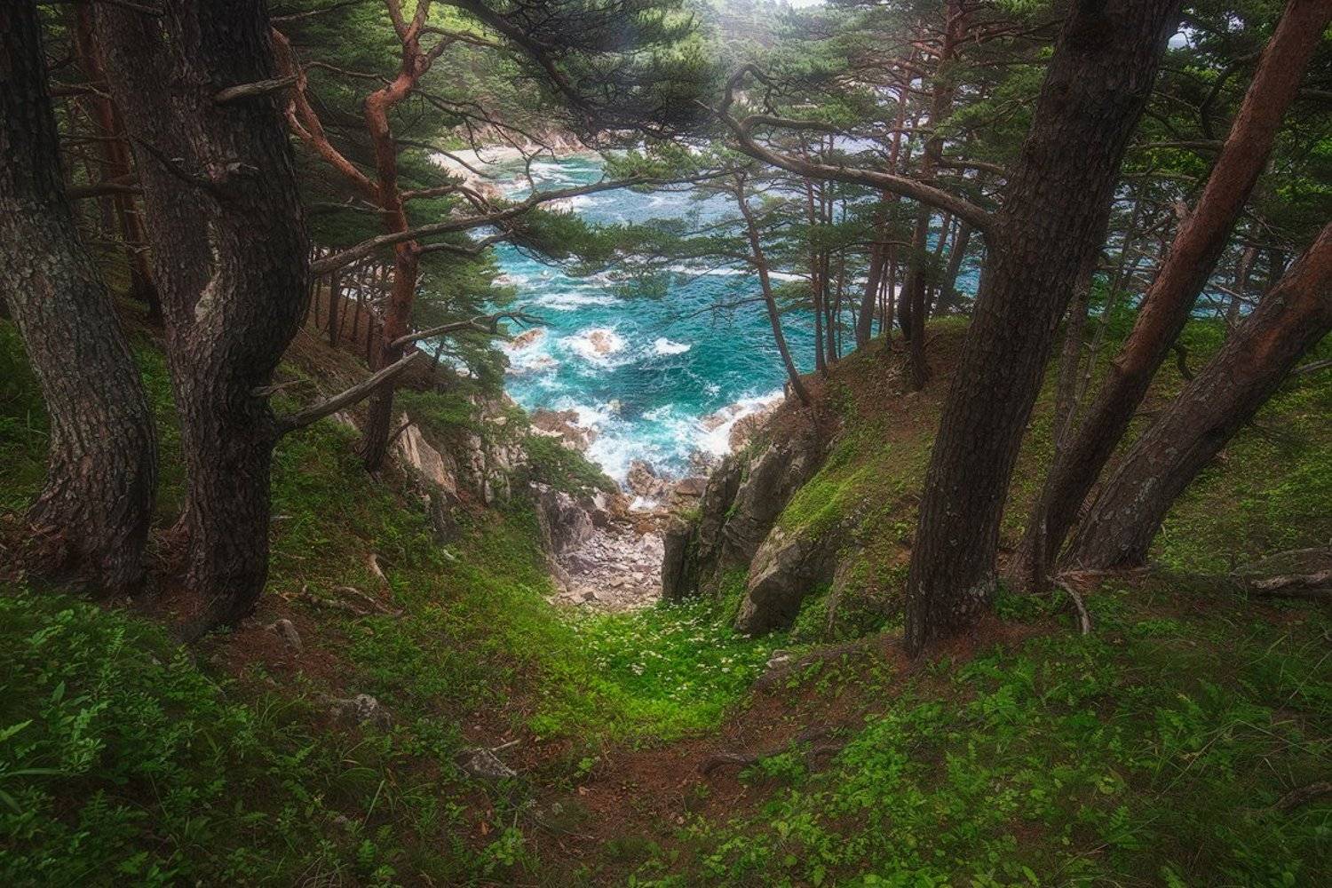 , Дмитрий Подкопаев