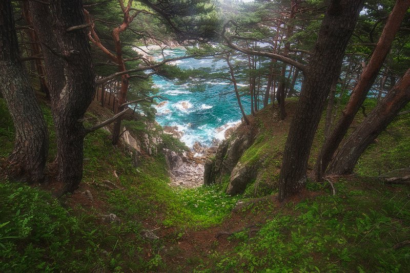 ***** фото превью