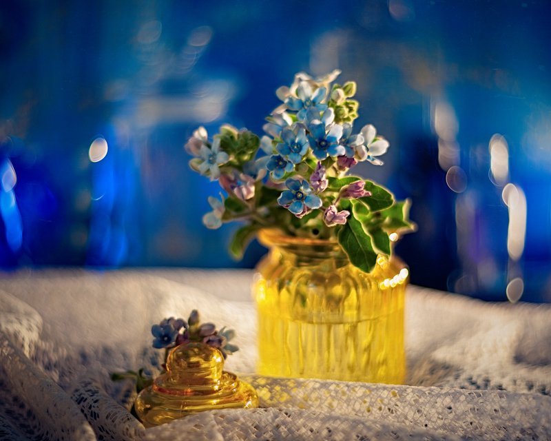 натюрморт желтый синий гелиос боке helios stilllife bokeh  фото превью