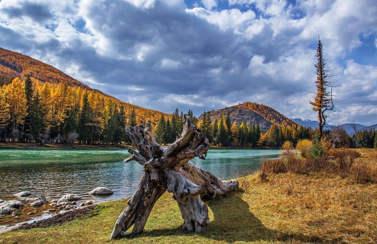 горы. осень алтай, Евгений Дроботенко