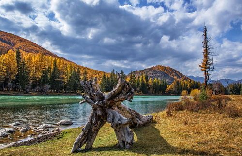 Алтайская   осень