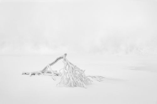 Белая стынь января